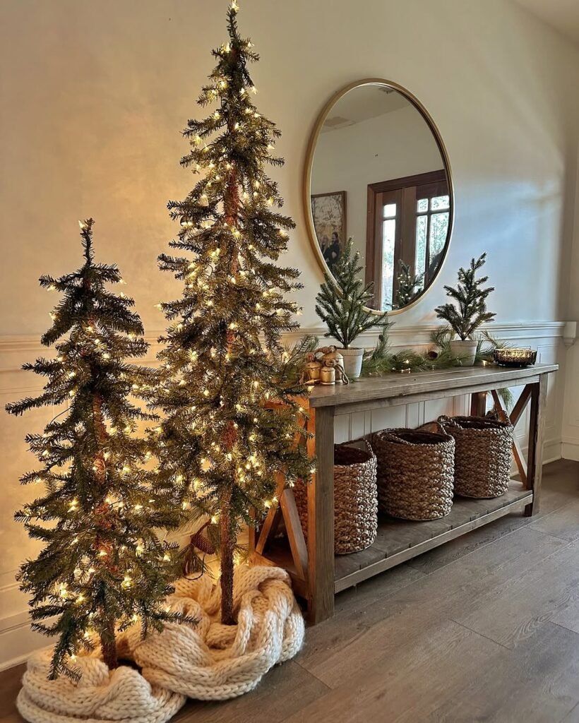 Small Christmas Tree or Potted Plants